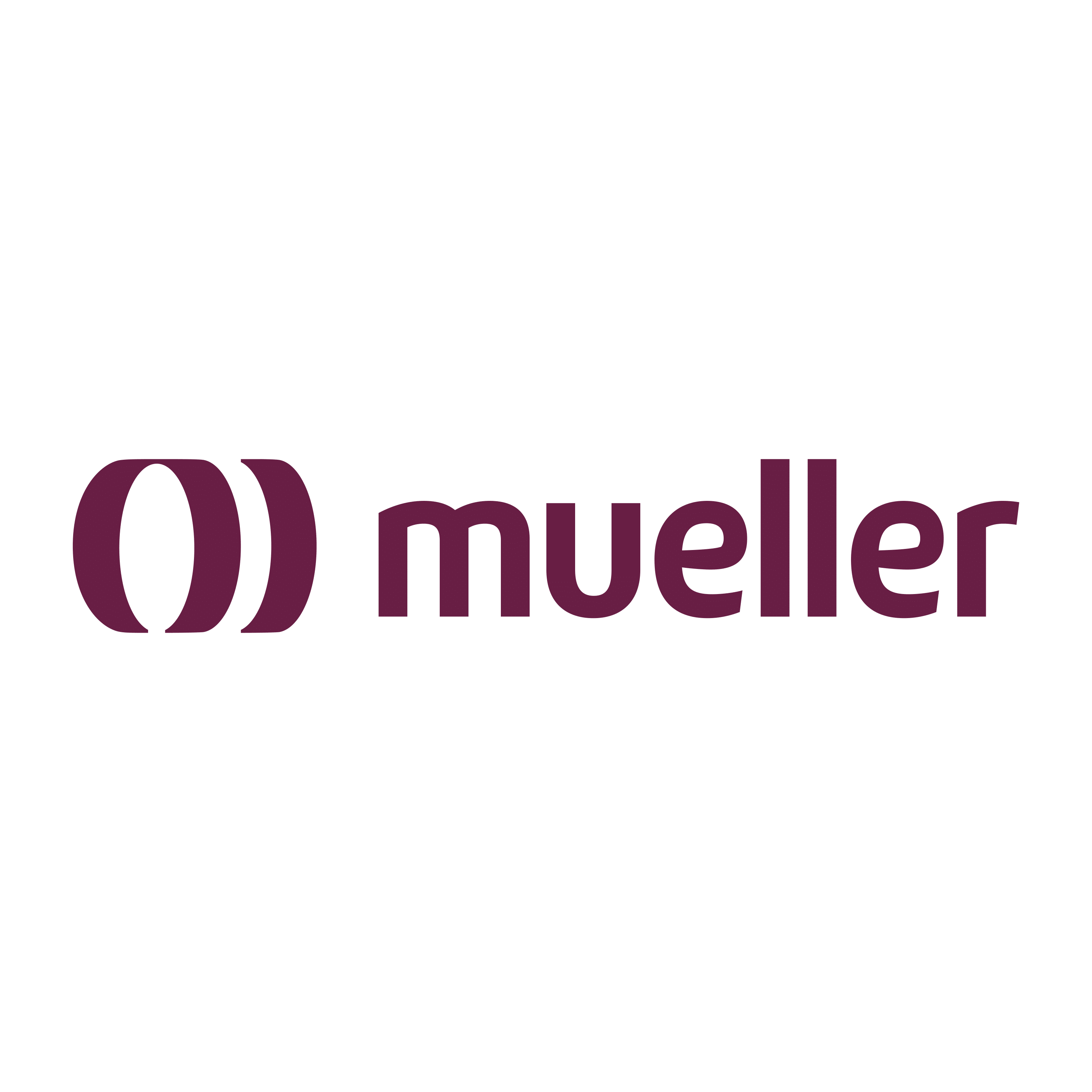 Mueller - LOGO-1