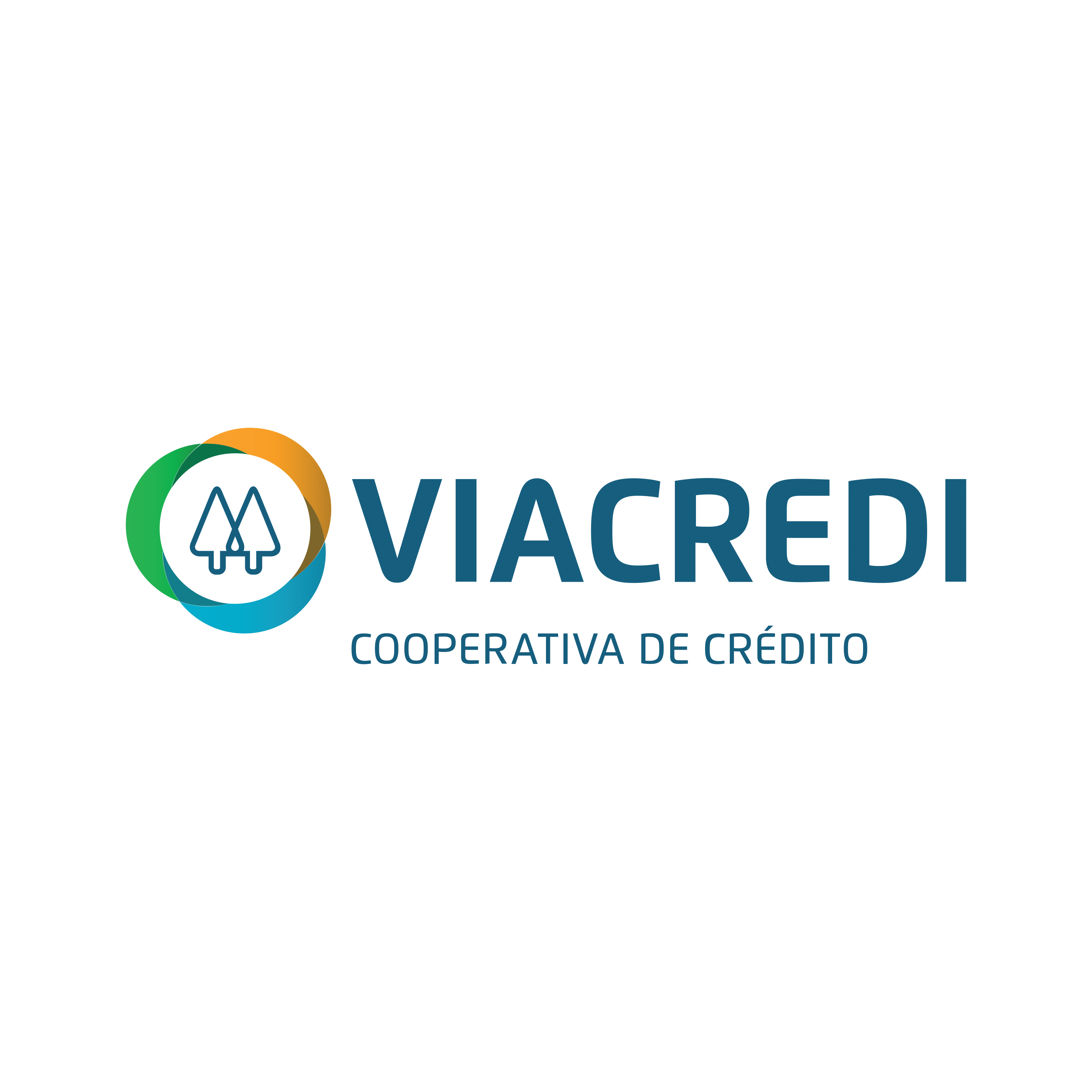 Viacredi - LOGO-1